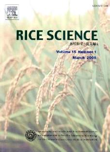 RiceScience
