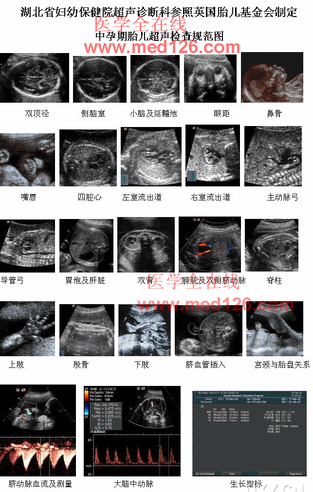 中孕期胎儿超声检查规范图