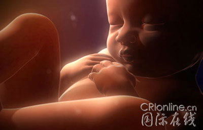 胎儿在子宫的睡姿(组图)