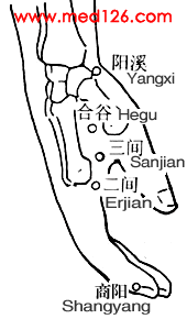 (󳦾3) Sanjian(LI3) 